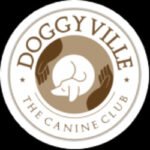 Up to ₹3000 OFF Doggyville India Dog Training
