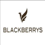 Blackberrys Malaysia Trip Rewards Offer