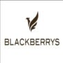 Blackberrys Malaysia Trip Rewards Offer