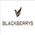 Blackberrys ₹1000 Off on ₹10995 Purchase